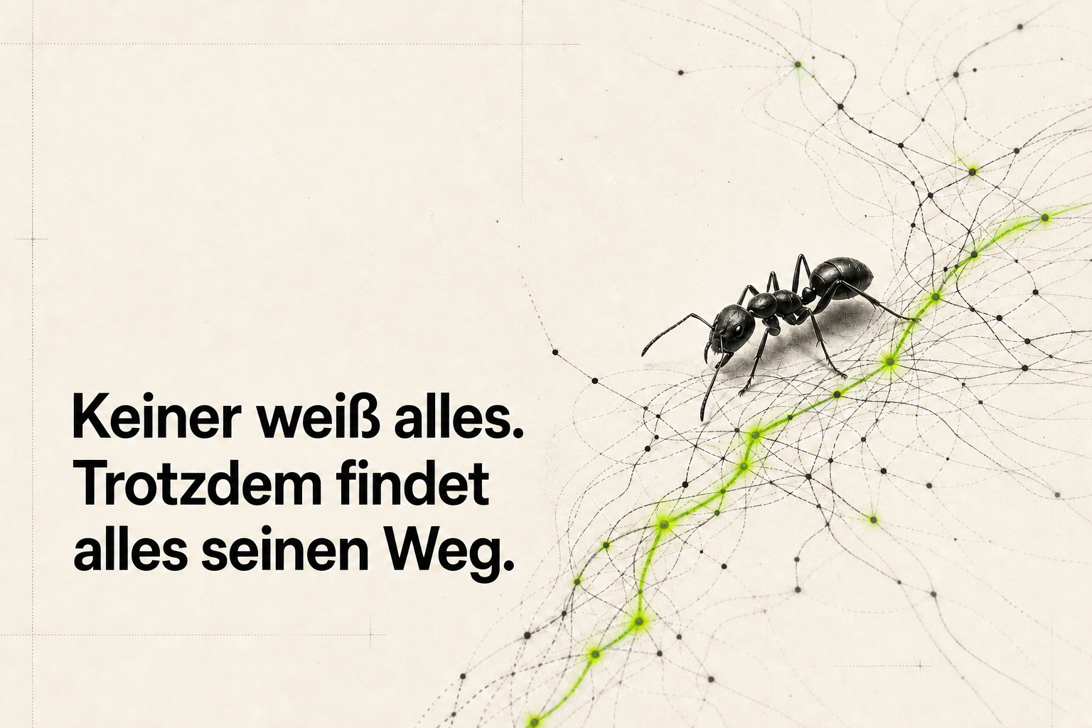 Keiner weiß alles. Trotzdem findet alles seinen Weg. Eine Ameise folgt einer leuchtend grünen Datenspur durch ein dichtes Netz.